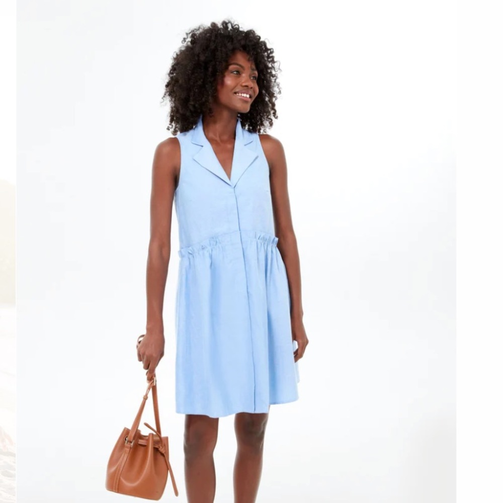 Tuckernuck Oxford Blue Royal Shirt Dress